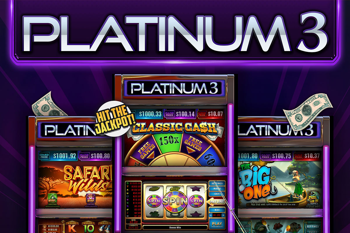 Platinum 3 Unbranded Flyer